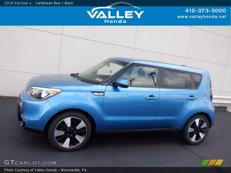 Caribbean Blue / Black 2016 Kia Soul +