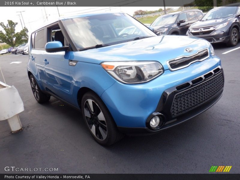 Caribbean Blue / Black 2016 Kia Soul +