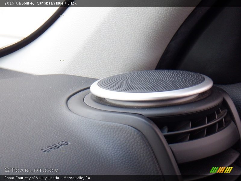 Caribbean Blue / Black 2016 Kia Soul +