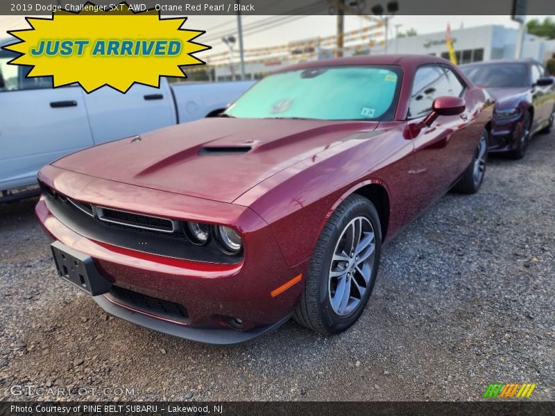 Octane Red Pearl / Black 2019 Dodge Challenger SXT AWD