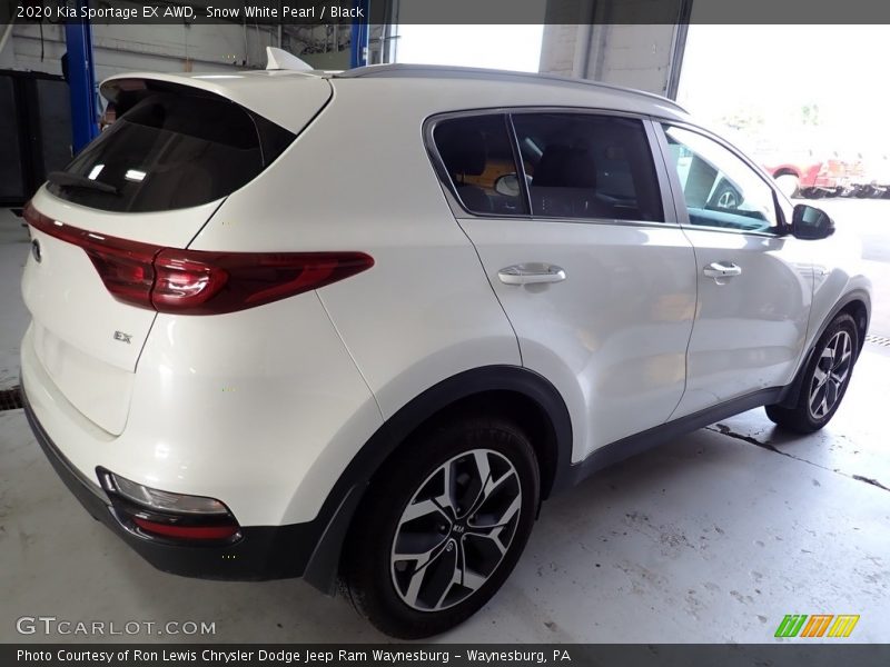 Snow White Pearl / Black 2020 Kia Sportage EX AWD