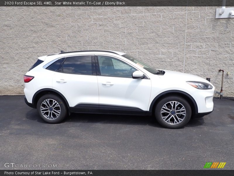 Star White Metallic Tri-Coat / Ebony Black 2020 Ford Escape SEL 4WD