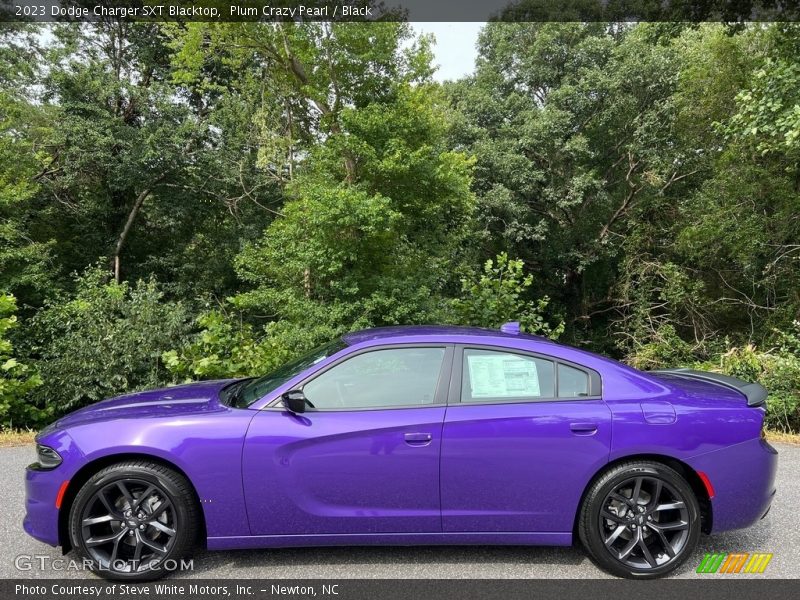  2023 Charger SXT Blacktop Plum Crazy Pearl