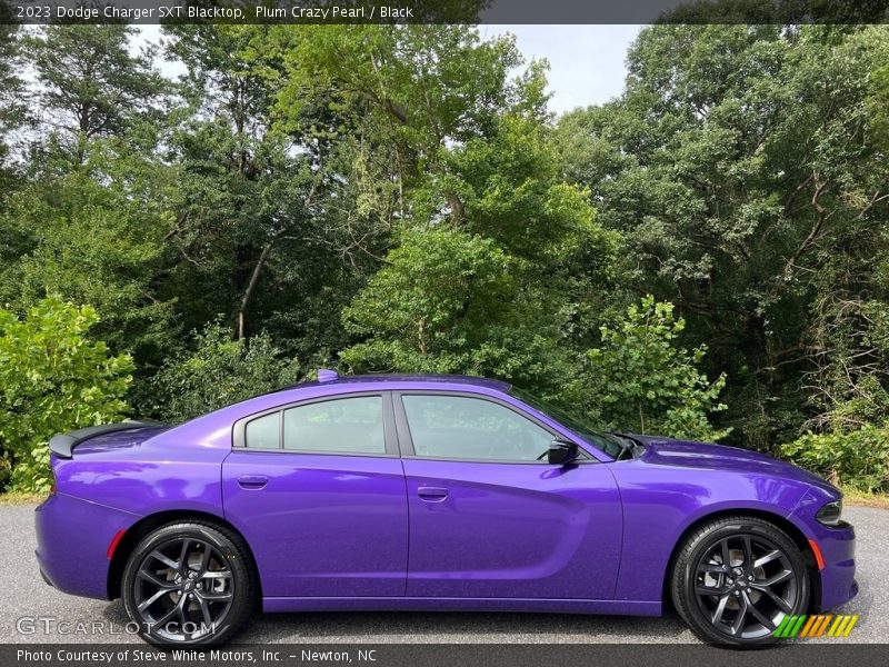  2023 Charger SXT Blacktop Plum Crazy Pearl