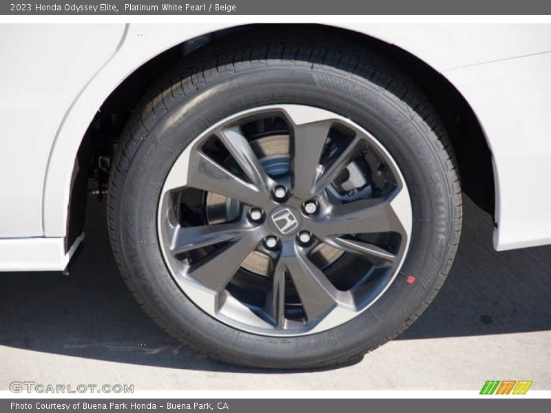  2023 Odyssey Elite Wheel