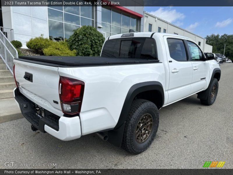  2023 Tacoma Trail Edition Double Cab 4x4 Ice Cap