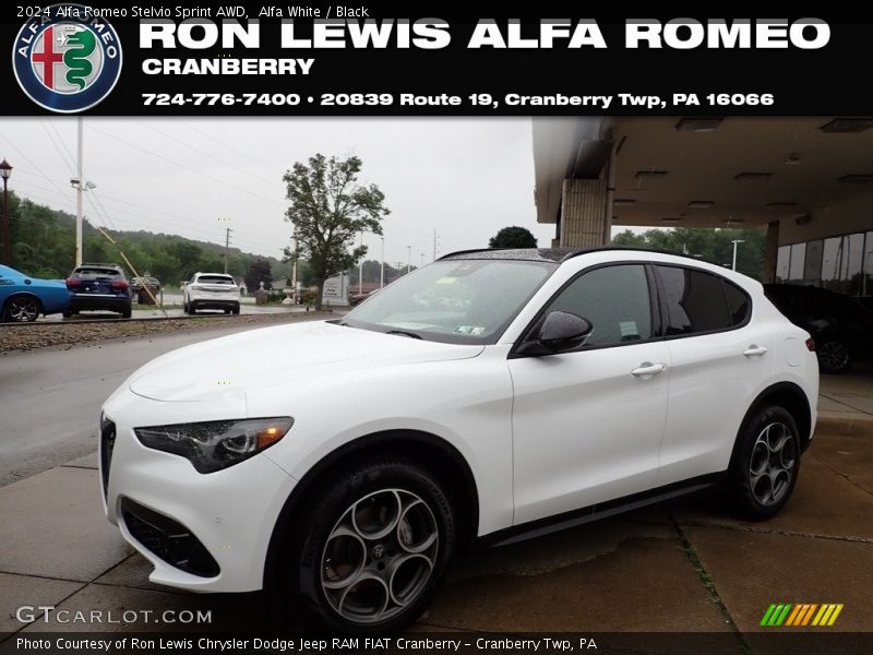 Alfa White / Black 2024 Alfa Romeo Stelvio Sprint AWD