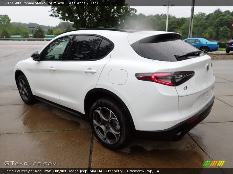 Alfa White / Black 2024 Alfa Romeo Stelvio Sprint AWD