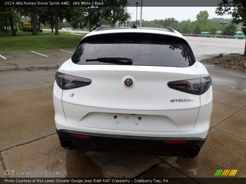 Alfa White / Black 2024 Alfa Romeo Stelvio Sprint AWD