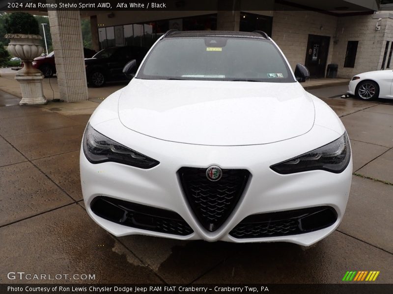 Alfa White / Black 2024 Alfa Romeo Stelvio Sprint AWD