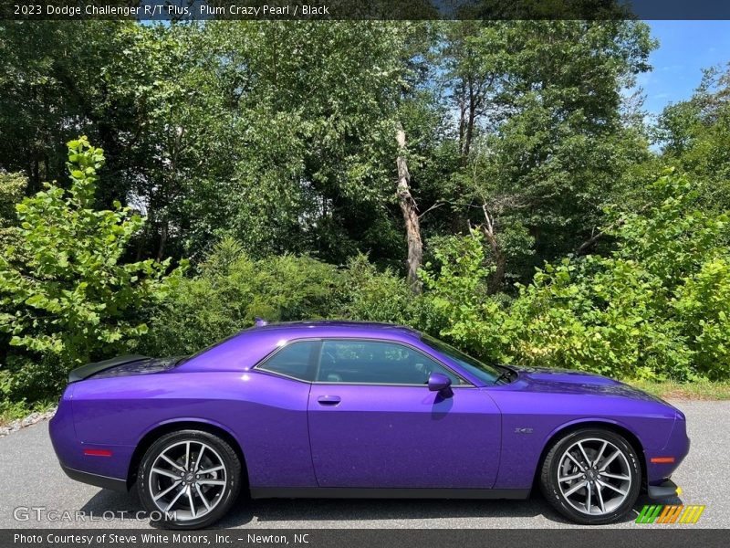  2023 Challenger R/T Plus Plum Crazy Pearl