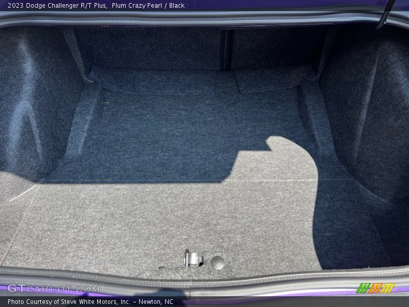Plum Crazy Pearl / Black 2023 Dodge Challenger R/T Plus