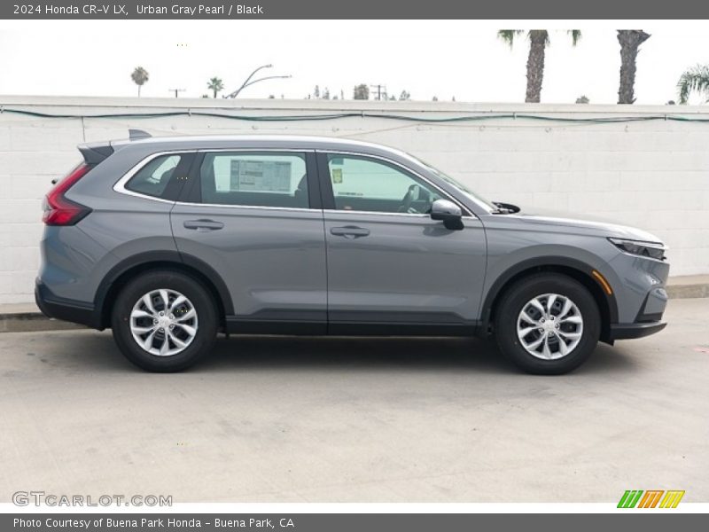  2024 CR-V LX Urban Gray Pearl