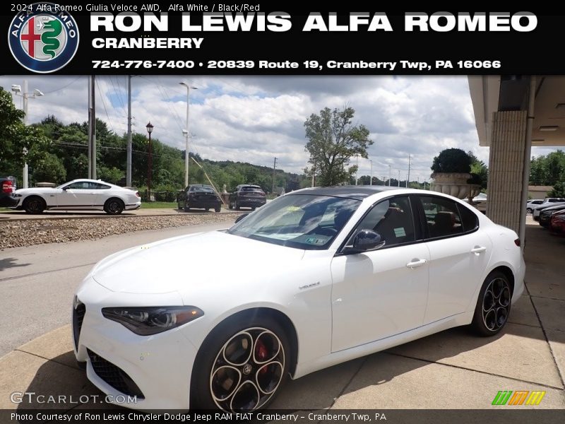 Alfa White / Black/Red 2024 Alfa Romeo Giulia Veloce AWD