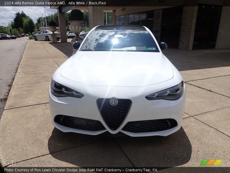 Alfa White / Black/Red 2024 Alfa Romeo Giulia Veloce AWD