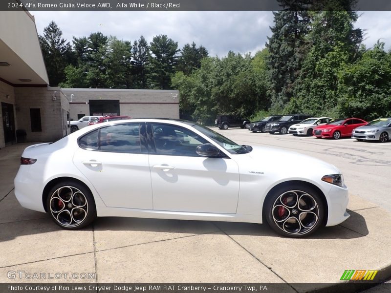 Alfa White / Black/Red 2024 Alfa Romeo Giulia Veloce AWD