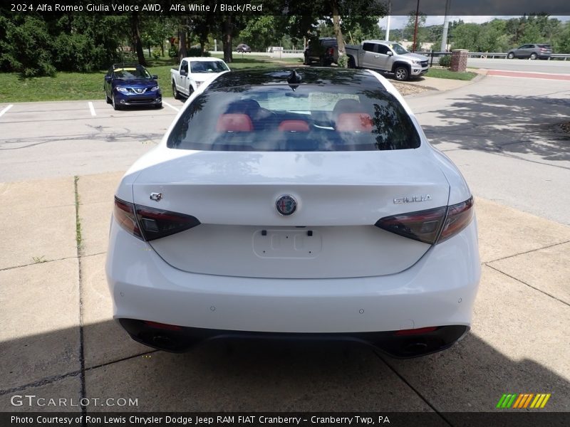 Alfa White / Black/Red 2024 Alfa Romeo Giulia Veloce AWD