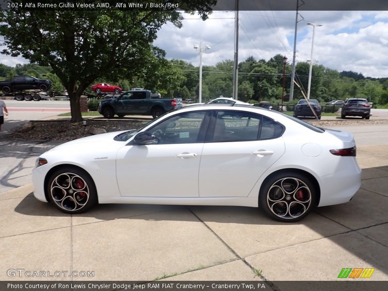 Alfa White / Black/Red 2024 Alfa Romeo Giulia Veloce AWD