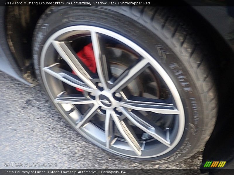 Shadow Black / Showstopper Red 2019 Ford Mustang EcoBoost Premium Convertible