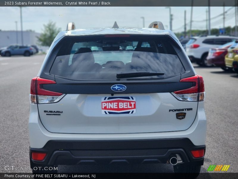 Crystal White Pearl / Black 2023 Subaru Forester Wilderness
