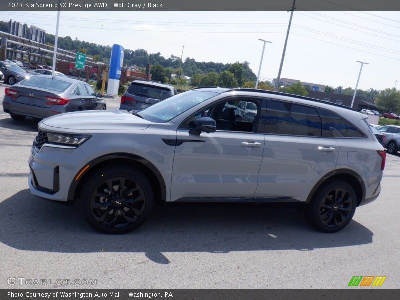 Wolf Gray / Black 2023 Kia Sorento SX Prestige AWD