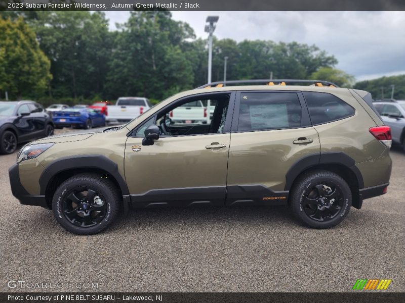 Autumn Green Metallic / Black 2023 Subaru Forester Wilderness