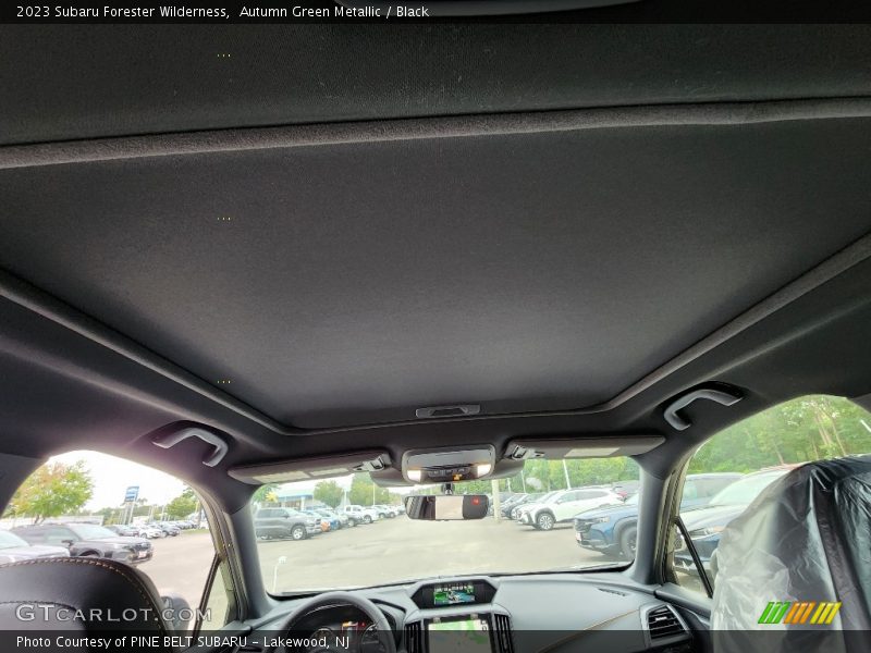 Autumn Green Metallic / Black 2023 Subaru Forester Wilderness