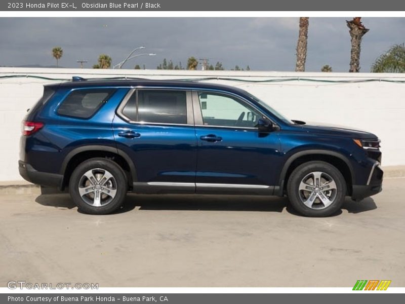 Obsidian Blue Pearl / Black 2023 Honda Pilot EX-L