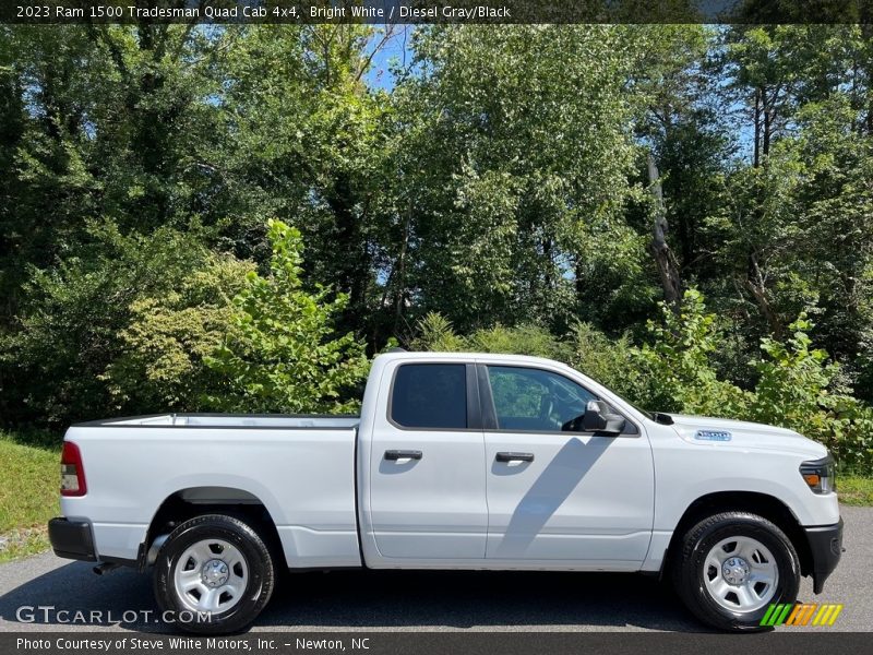  2023 1500 Tradesman Quad Cab 4x4 Bright White