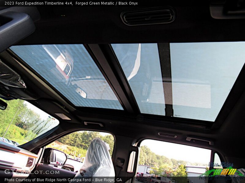 Forged Green Metallic / Black Onyx 2023 Ford Expedition Timberline 4x4