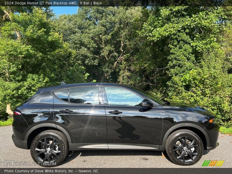  2024 Hornet GT Plus Blacktop AWD 8 Ball