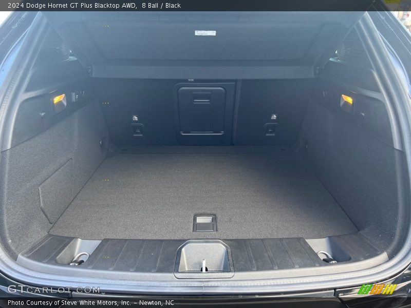  2024 Hornet GT Plus Blacktop AWD Trunk