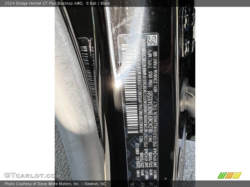 2024 Hornet GT Plus Blacktop AWD 8 Ball Color Code 601
