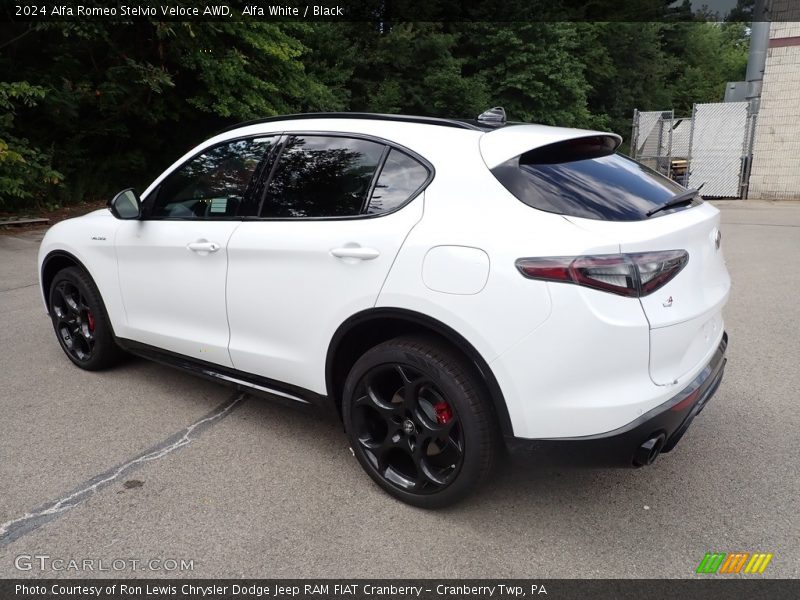 Alfa White / Black 2024 Alfa Romeo Stelvio Veloce AWD