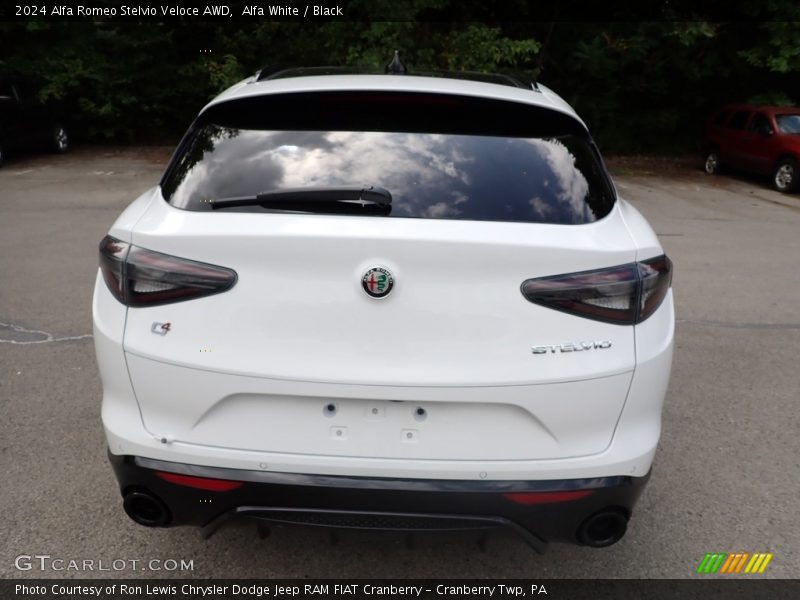 Alfa White / Black 2024 Alfa Romeo Stelvio Veloce AWD
