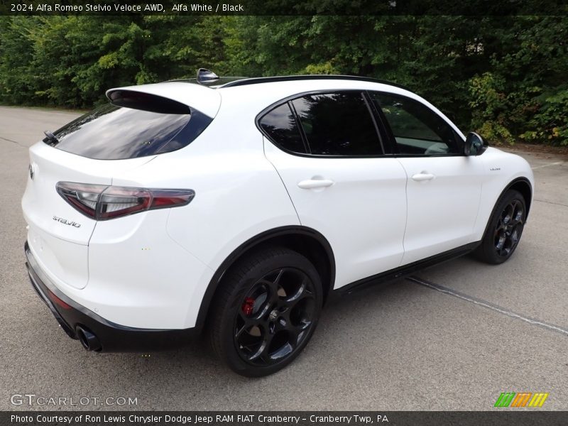 Alfa White / Black 2024 Alfa Romeo Stelvio Veloce AWD