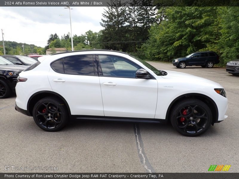  2024 Stelvio Veloce AWD Alfa White