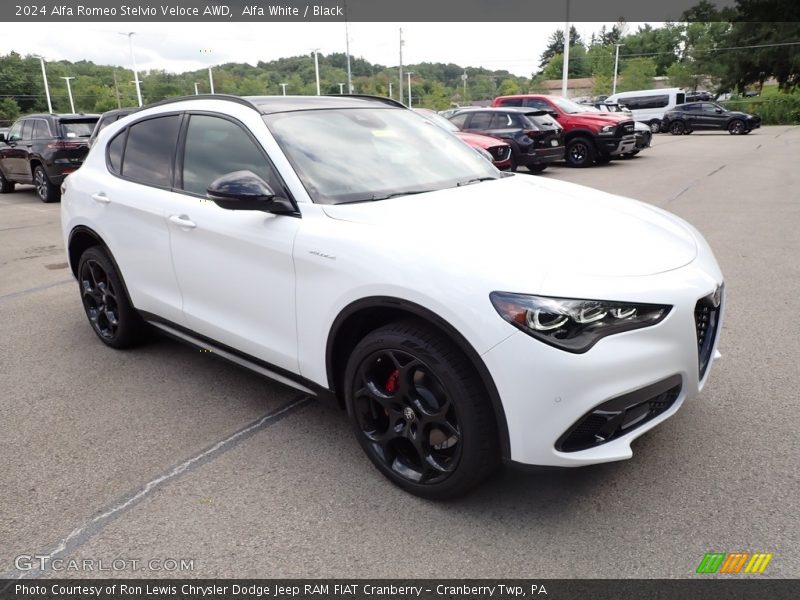 Front 3/4 View of 2024 Stelvio Veloce AWD