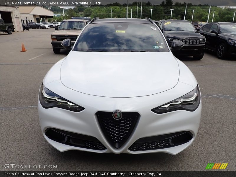 Alfa White / Black 2024 Alfa Romeo Stelvio Veloce AWD