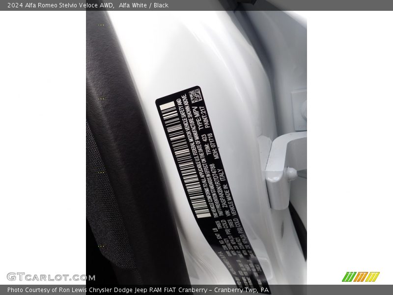2024 Stelvio Veloce AWD Alfa White Color Code 217
