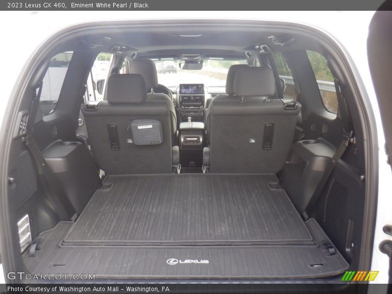  2023 GX 460 Trunk