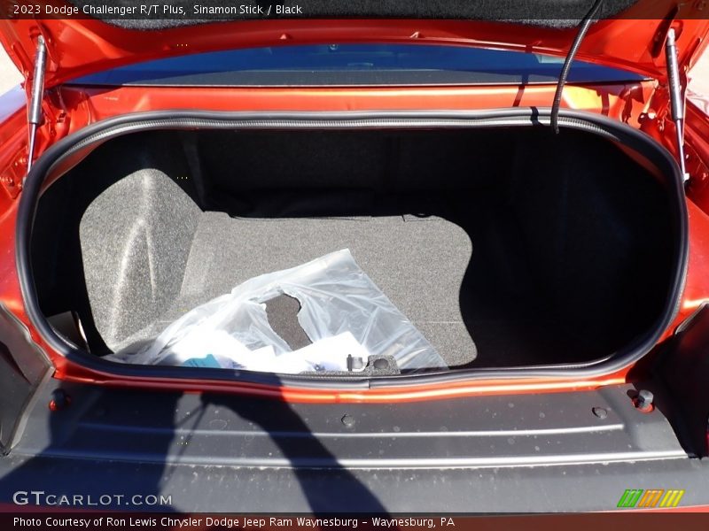 Sinamon Stick / Black 2023 Dodge Challenger R/T Plus