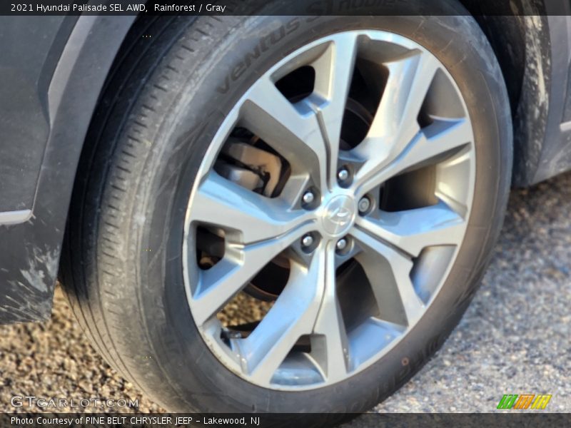 Rainforest / Gray 2021 Hyundai Palisade SEL AWD
