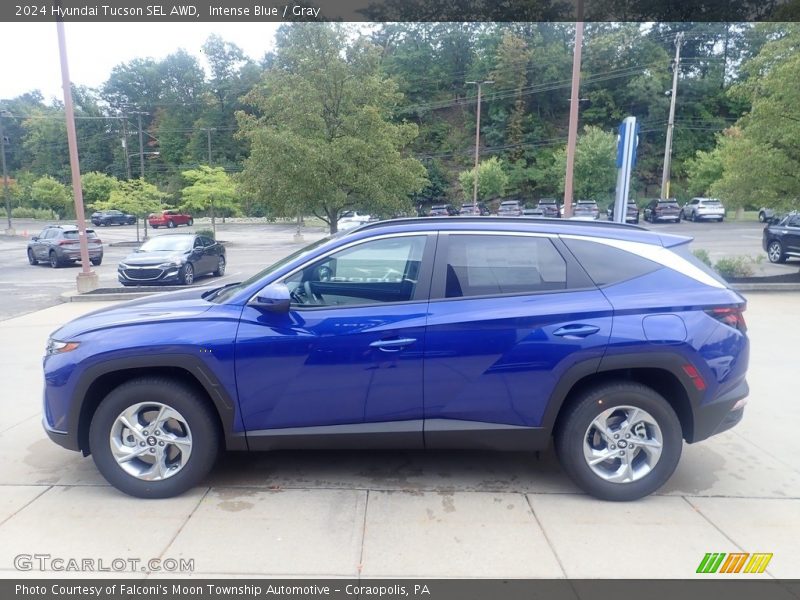 Intense Blue / Gray 2024 Hyundai Tucson SEL AWD