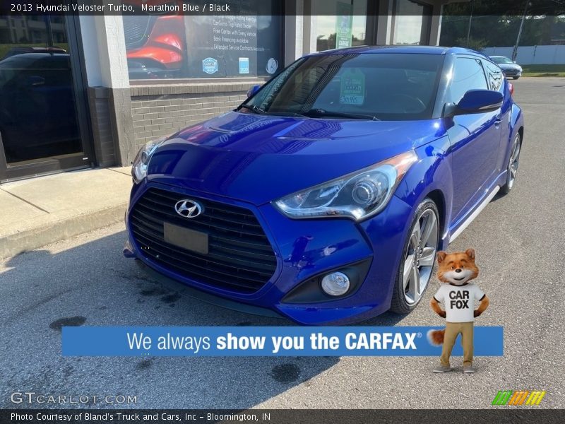 Marathon Blue / Black 2013 Hyundai Veloster Turbo