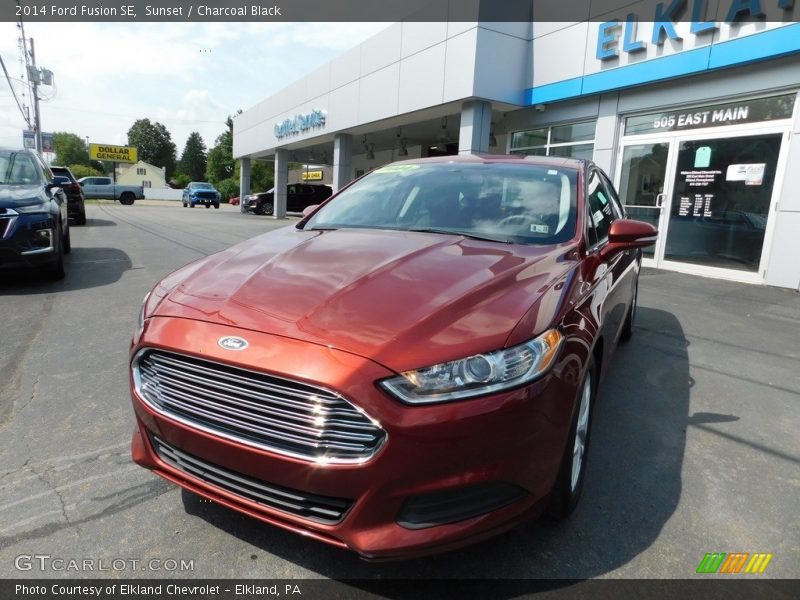 Sunset / Charcoal Black 2014 Ford Fusion SE