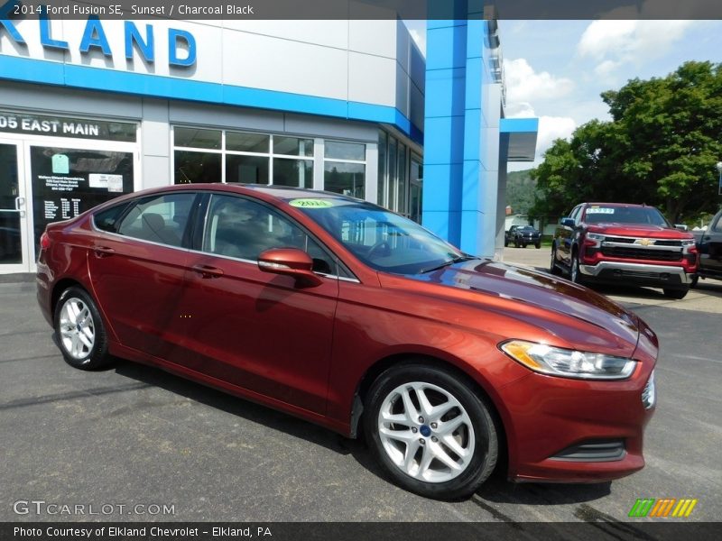 Sunset / Charcoal Black 2014 Ford Fusion SE