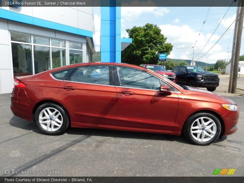 Sunset / Charcoal Black 2014 Ford Fusion SE