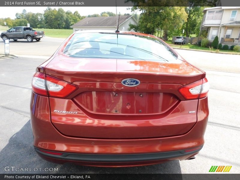 Sunset / Charcoal Black 2014 Ford Fusion SE