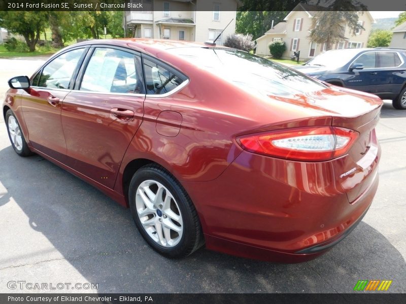 Sunset / Charcoal Black 2014 Ford Fusion SE